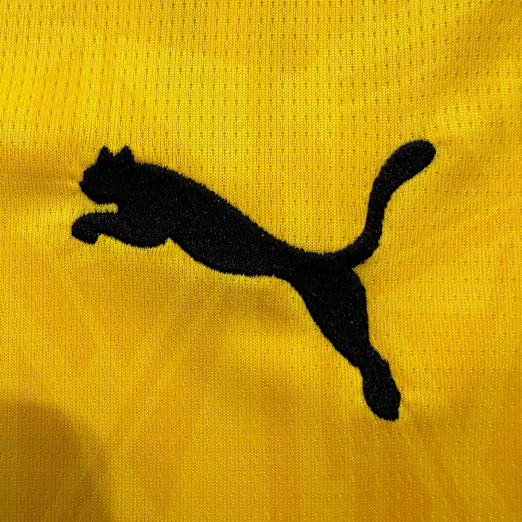 Borussia Dortmund