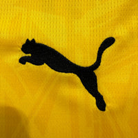 Borussia Dortmund